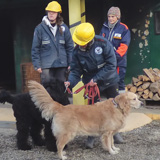 Cinofilia Soccorso