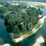 Prevenzione AIB